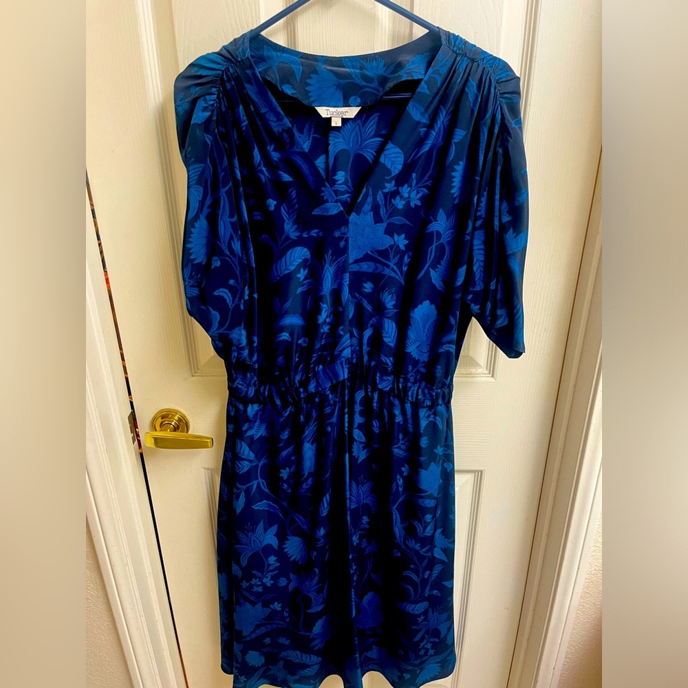 Tucker silk market dress